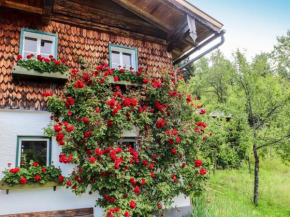 Отель Holiday Home Oberhaslach  Абтенау